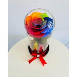 Trandafir multicolor...